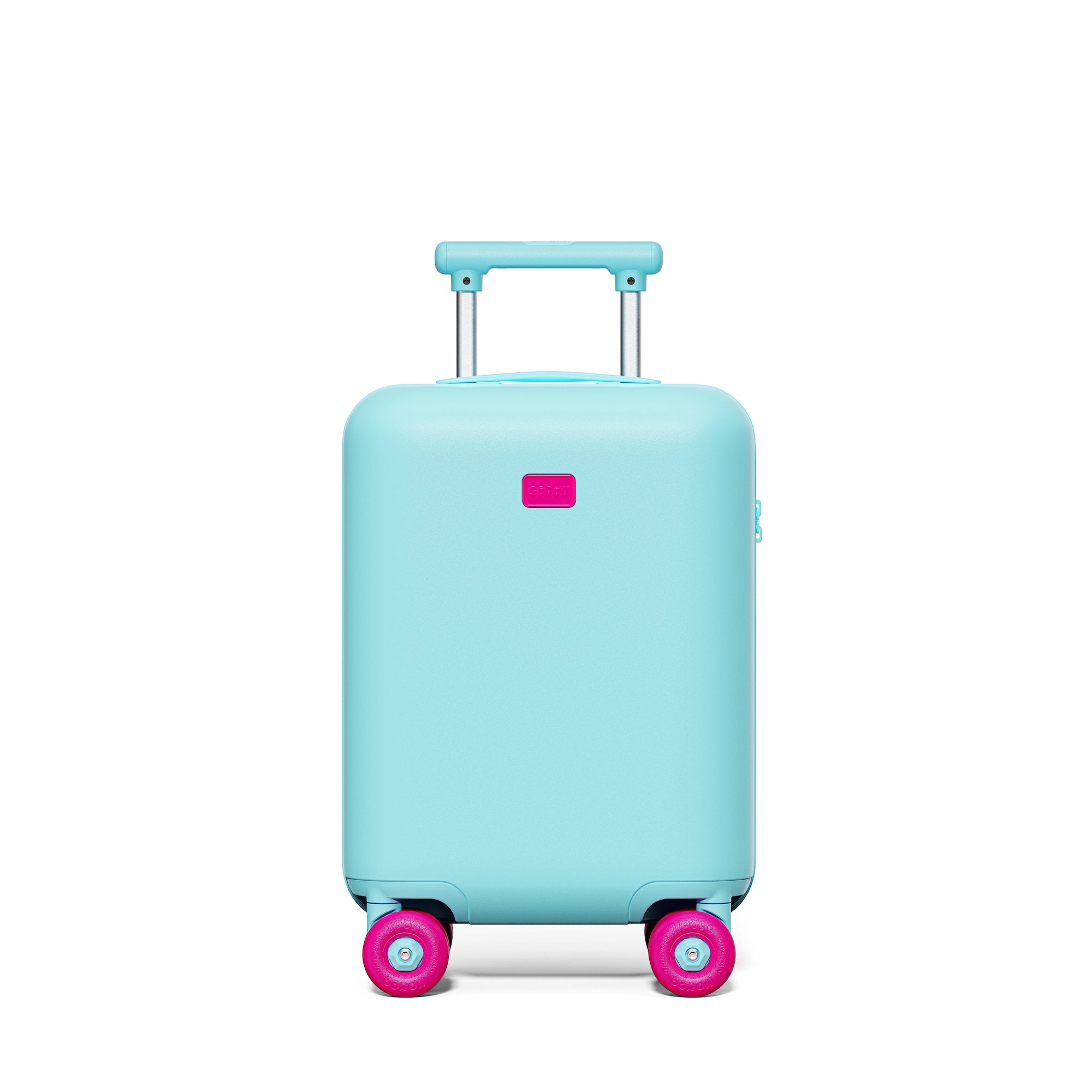 Patagonia Green Carry-on