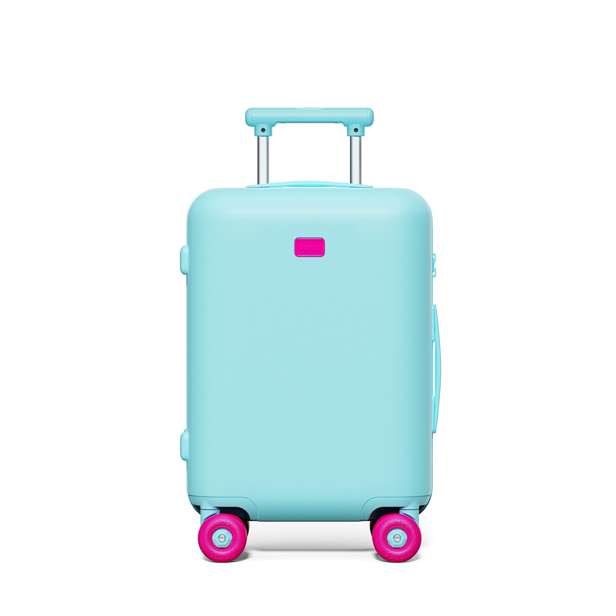 Patagonia Green Carry-on Pro