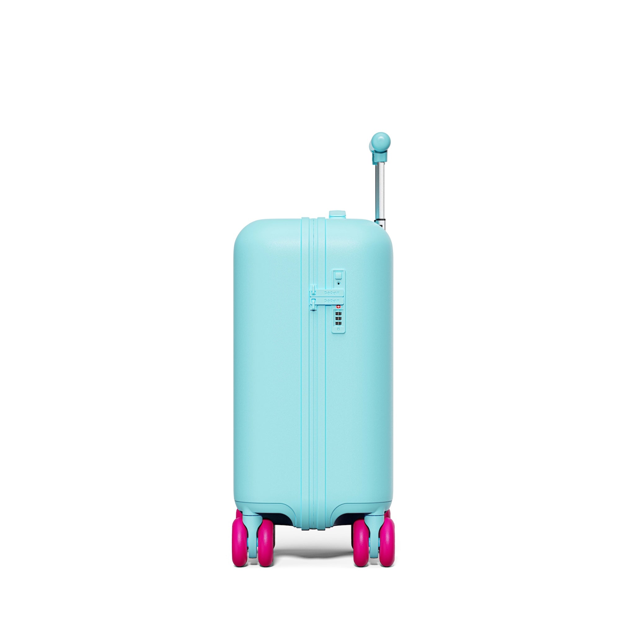 Patagonia Green Carry-on