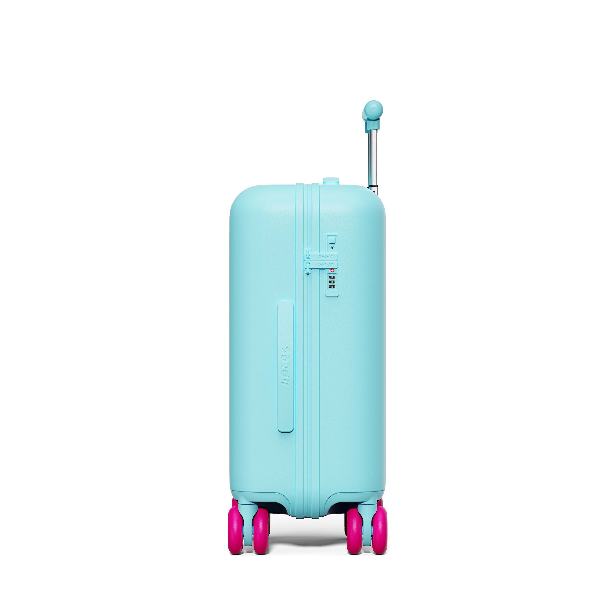 Patagonia Green Carry-on Pro