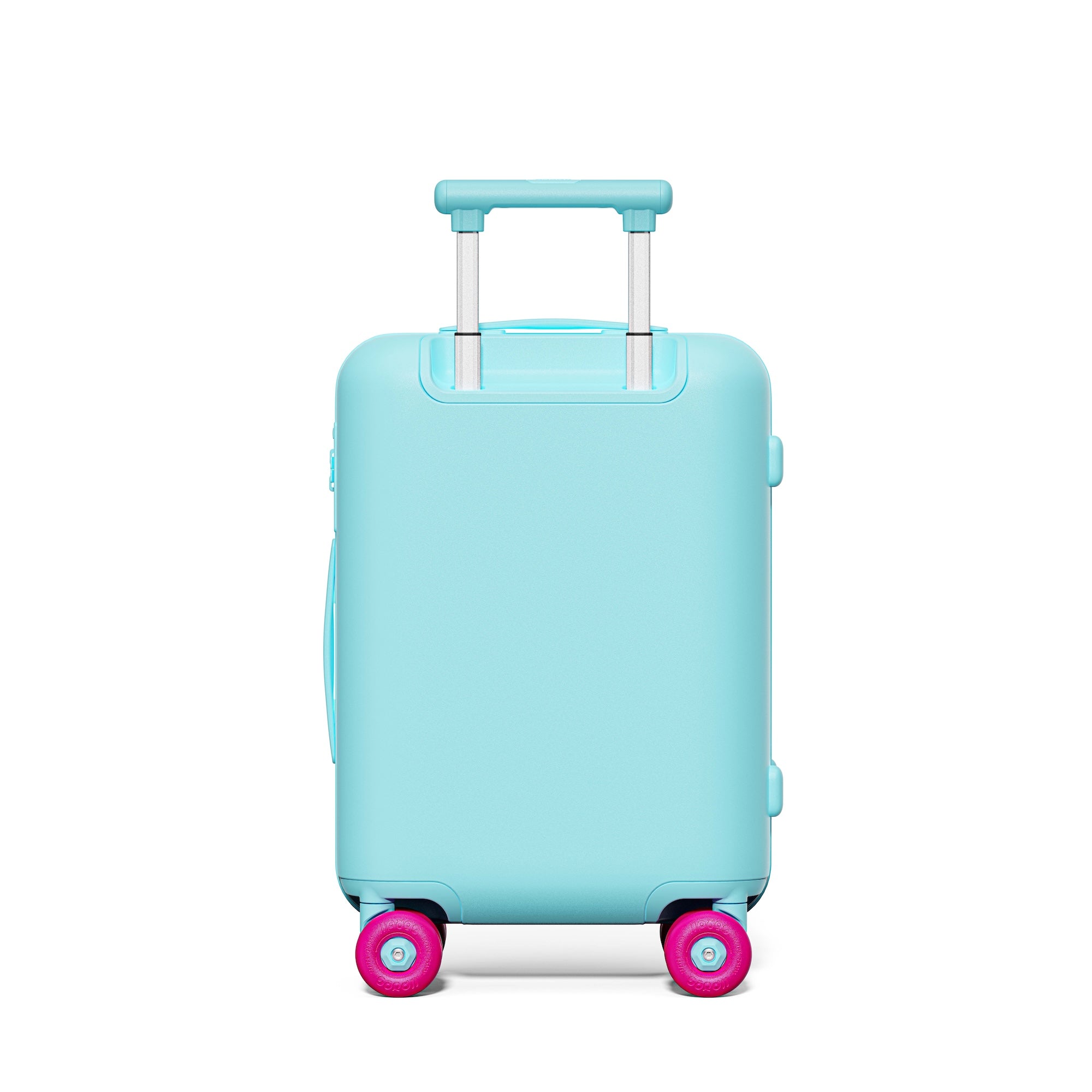 Patagonia Green Carry-on Pro