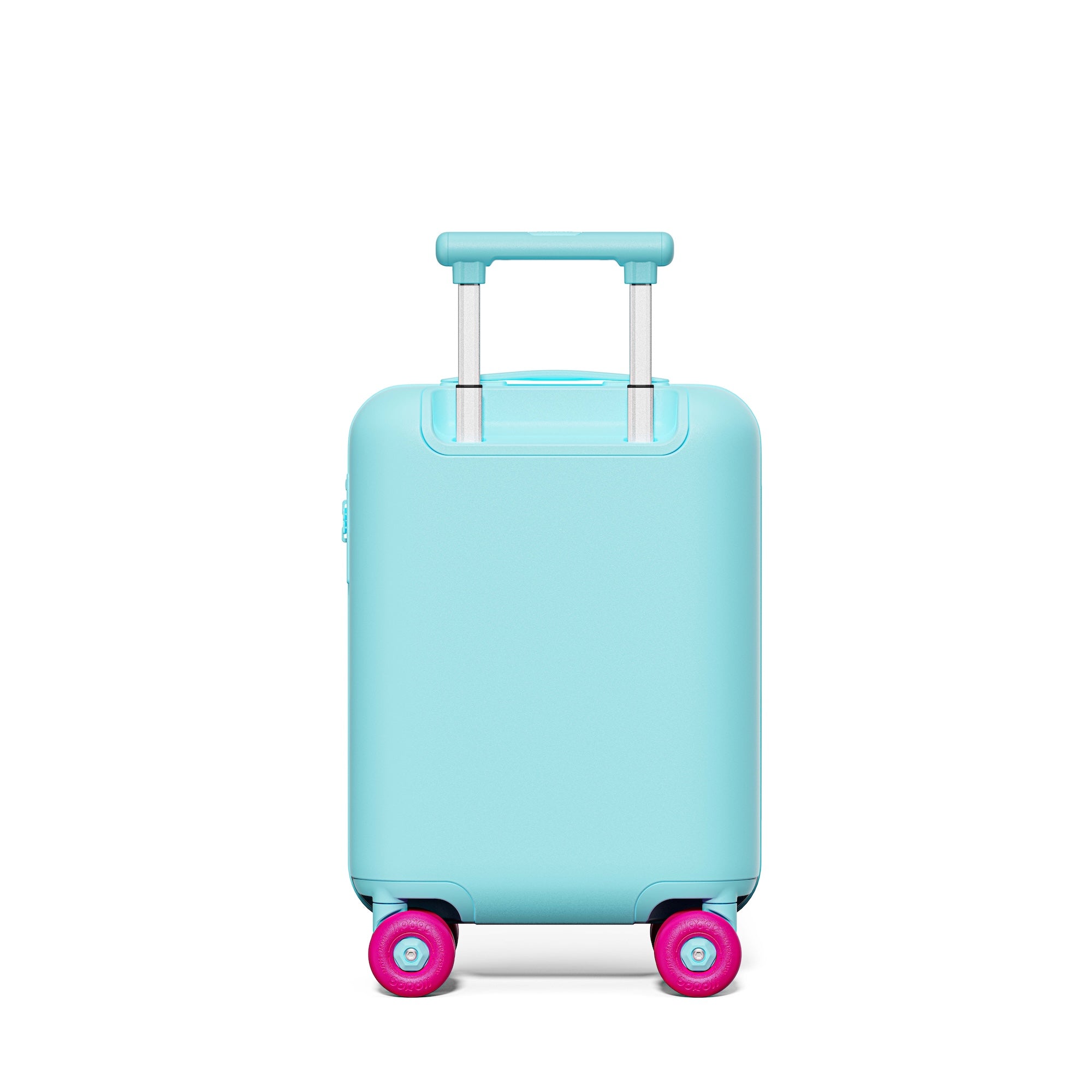 Patagonia Green Carry-on