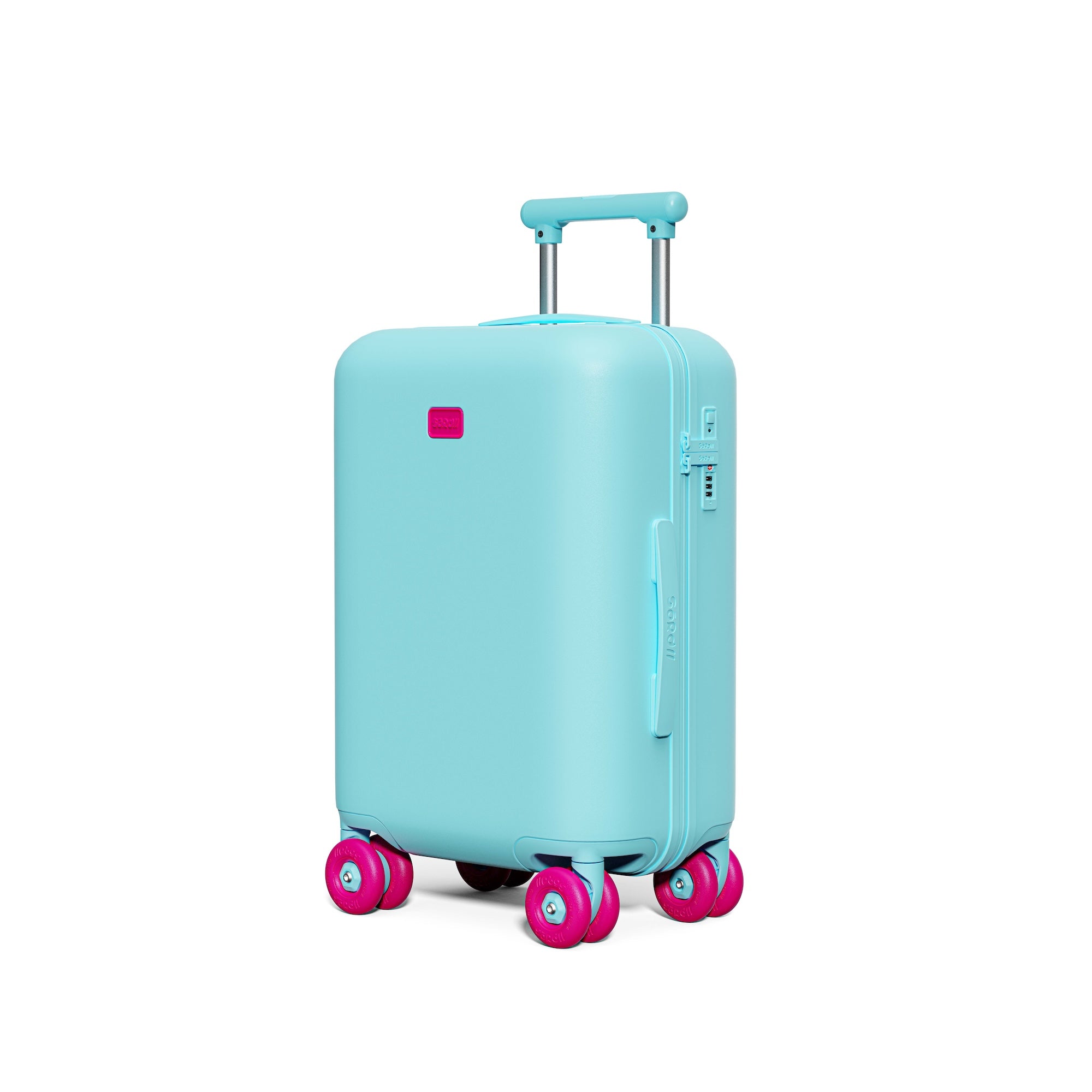 Patagonia Green Carry-on Pro