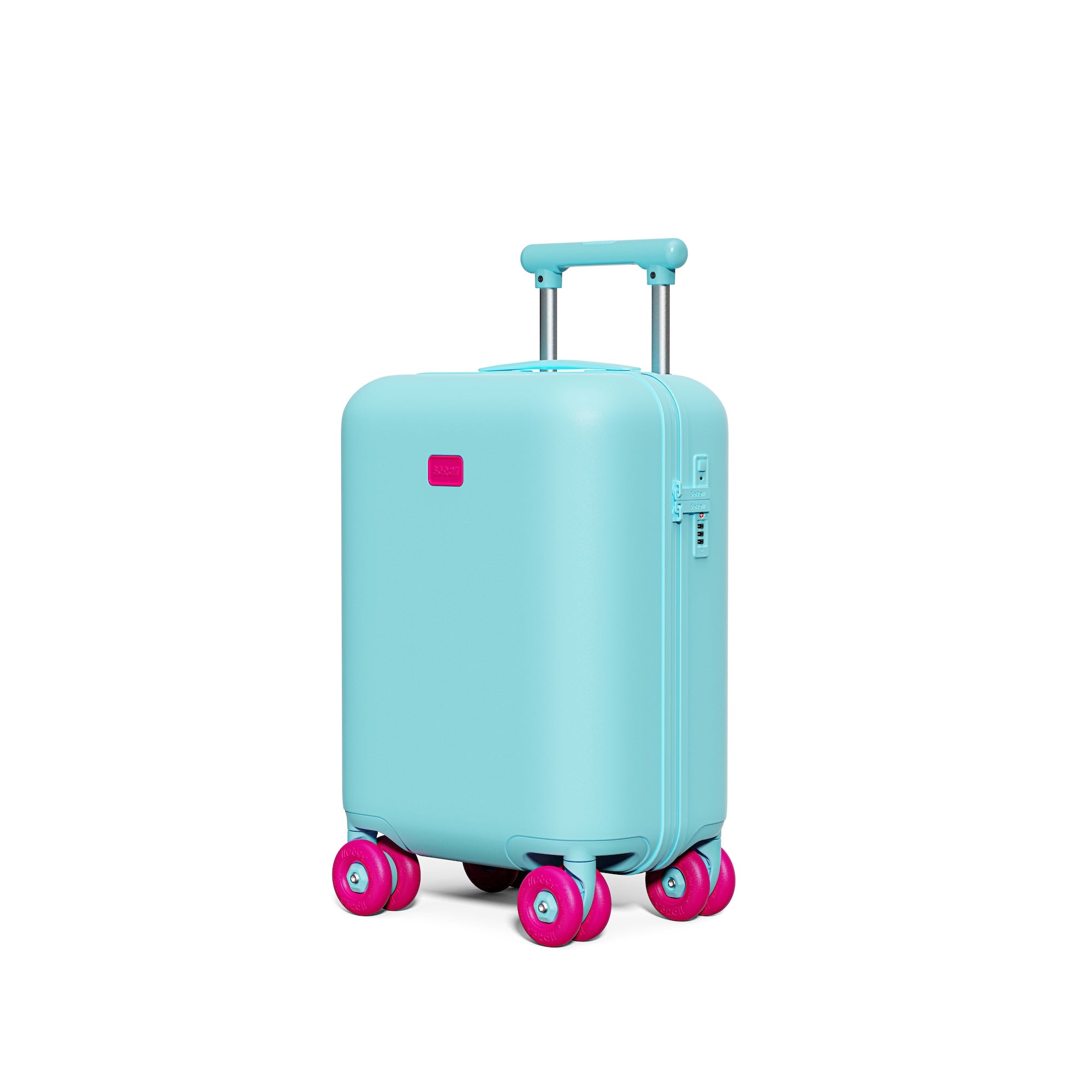 Patagonia Green Carry-on