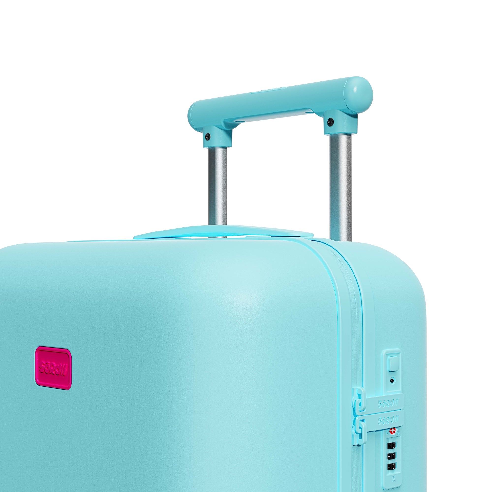 Patagonia Green Carry-on