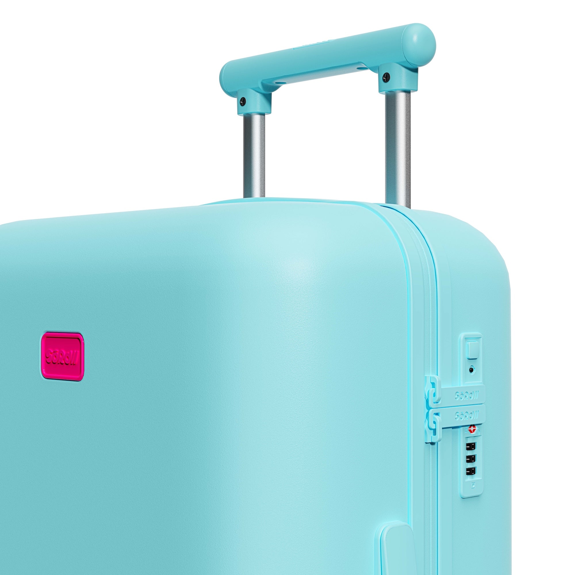 Patagonia Green Carry-on Pro