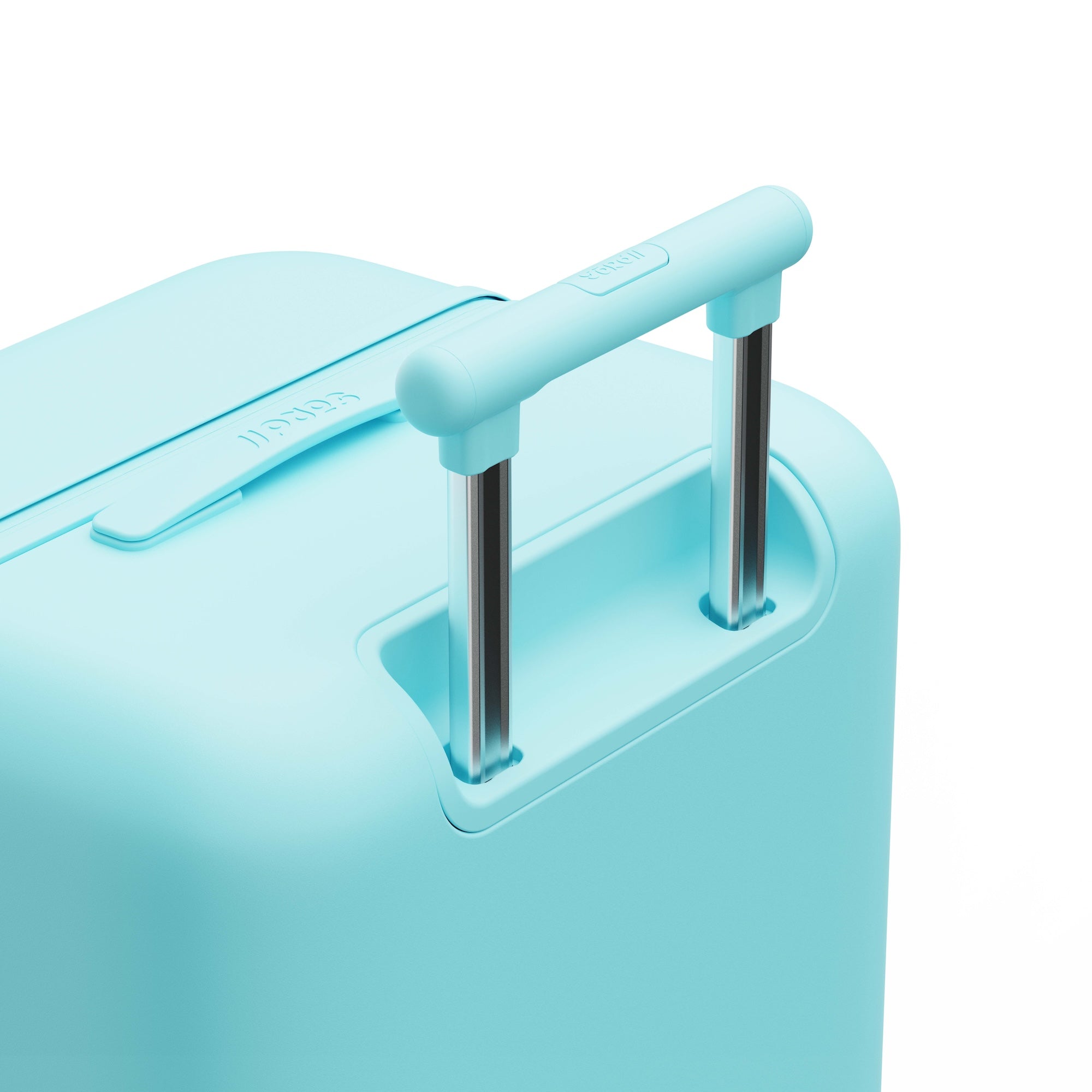 Patagonia Green Trunk