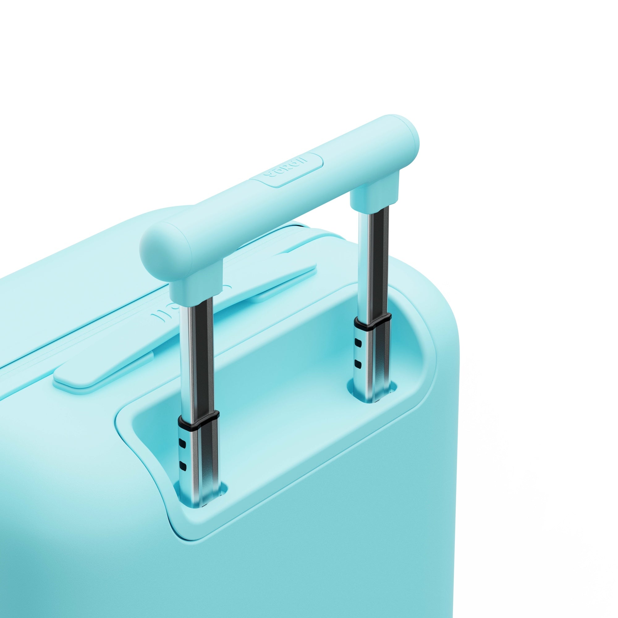 Patagonia Green Carry-on